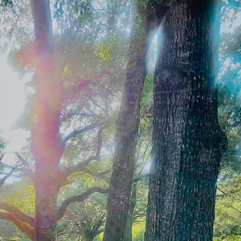 Meet your Posher, Alanna